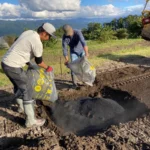 Biochar