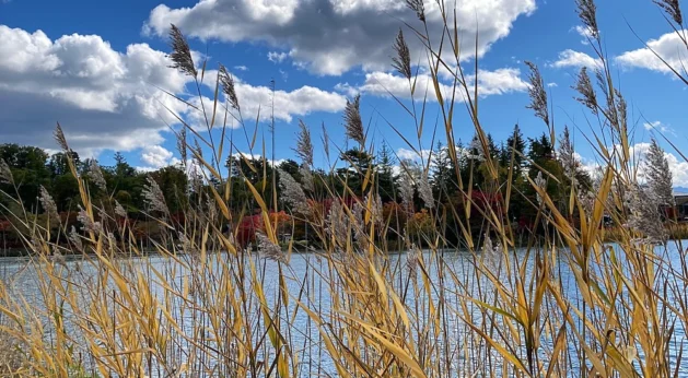 IMG_6963 のコピー