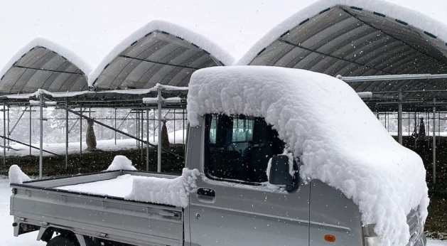 IMG_9264 のコピー